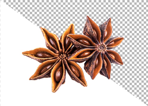 Star anise spice fruit isolated