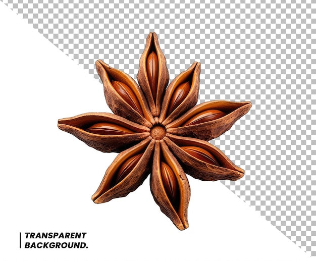 PSD star anise transparent background