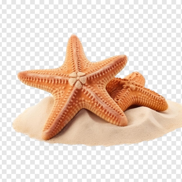 PSD star fish on a pile of sand isolated on transparency background psd