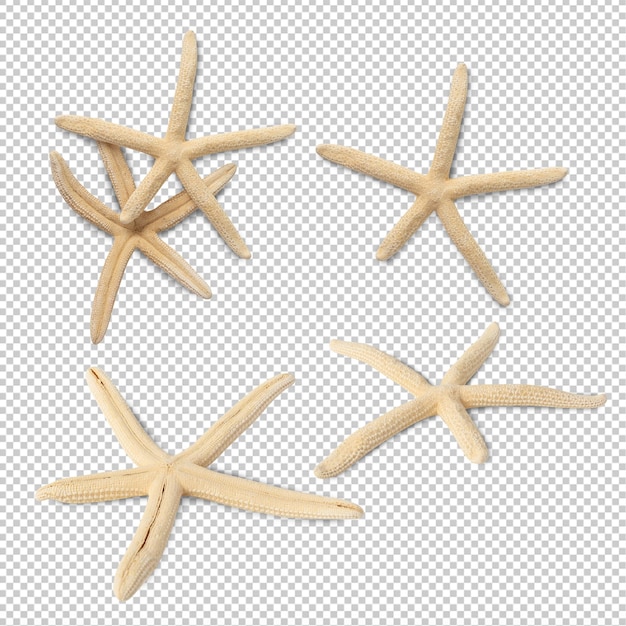 PSD starfish collectie knipsel psd-bestand