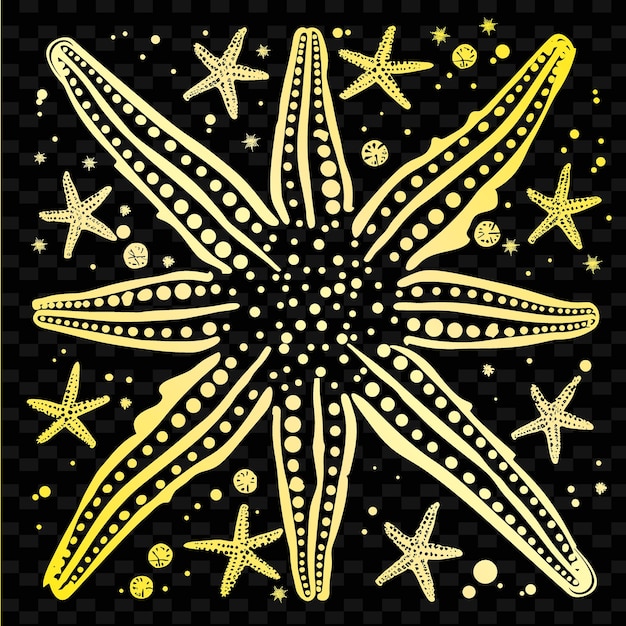 A starfish is shown on a black background