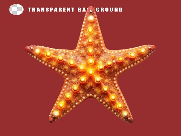 PSD starfish on transparent background