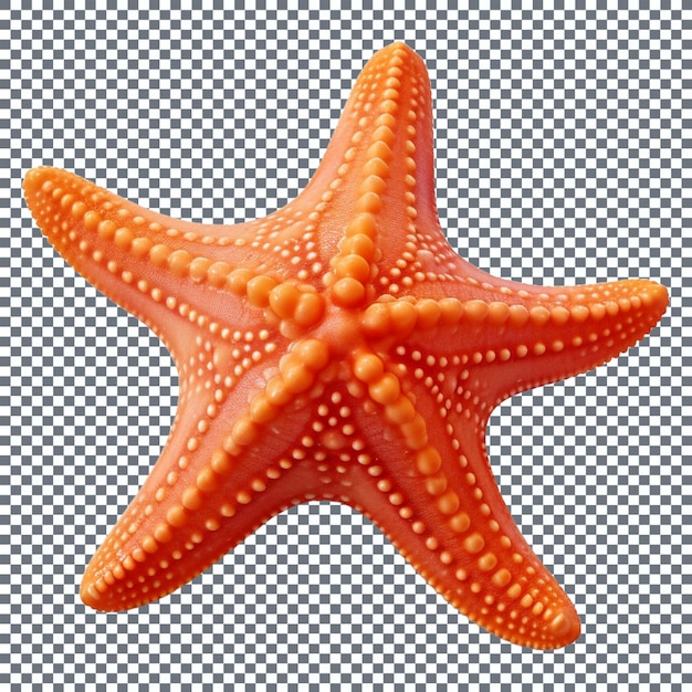 PSD starfish