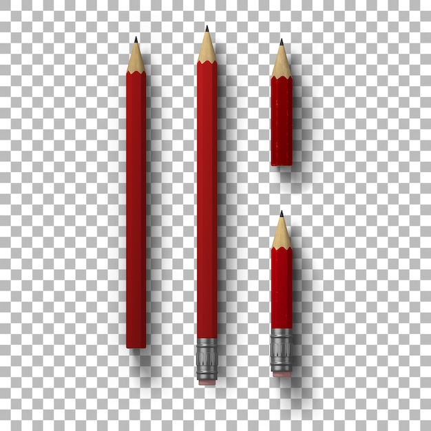 PSD elemento di concetto di cancelleria per il tuo design con matite su sfondo trasparente