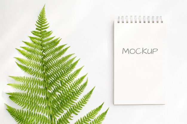 Stationery mockup notepad with green ferns on white