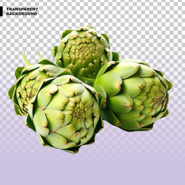 PSD steamed artichokes on transparent background