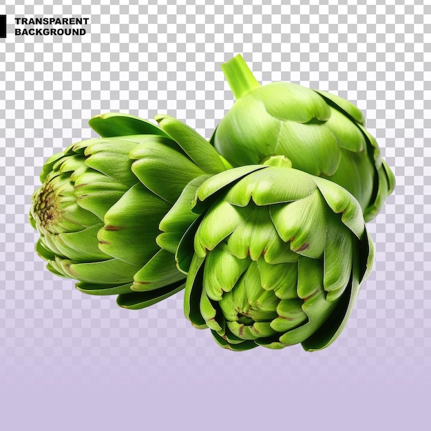 PSD steamed artichokes on transparent background