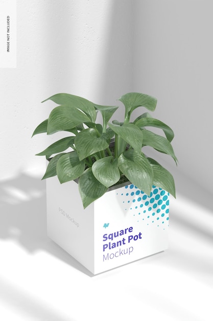 Steel Square Plant Pot Mockup, Top View