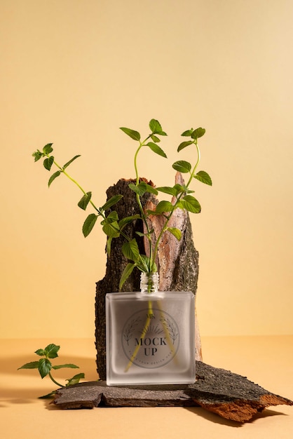 Still life herbarium concept with natural beauty products