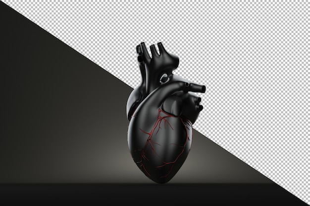 Still life human heart on black background