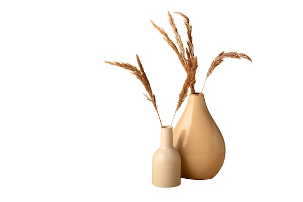 Stilllife van een moderne vaas geïsoleerd