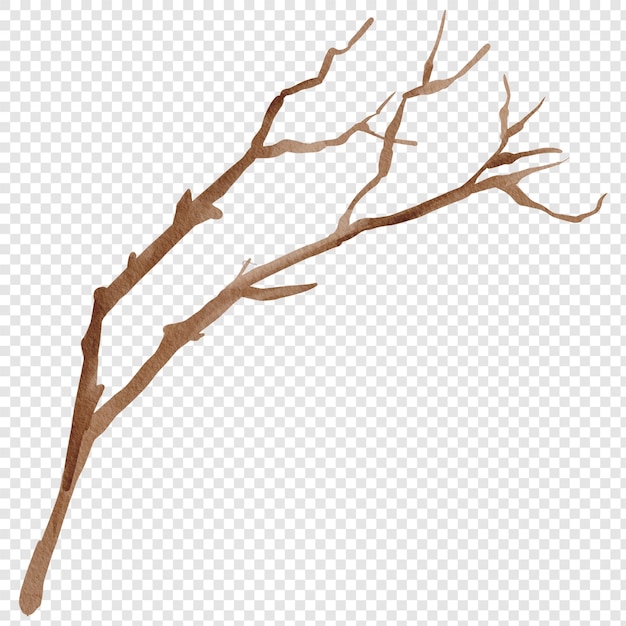 Stok Boomtak Geïsoleerd PNG Clipart Hout Takje