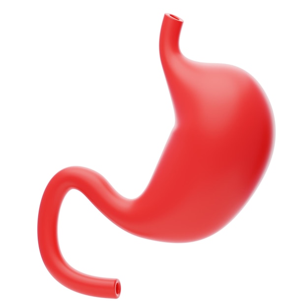 PSD stomach 3d icon