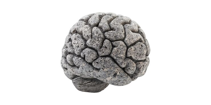 PSD stone sculpture of human brain with natural texture isolated on transparent background