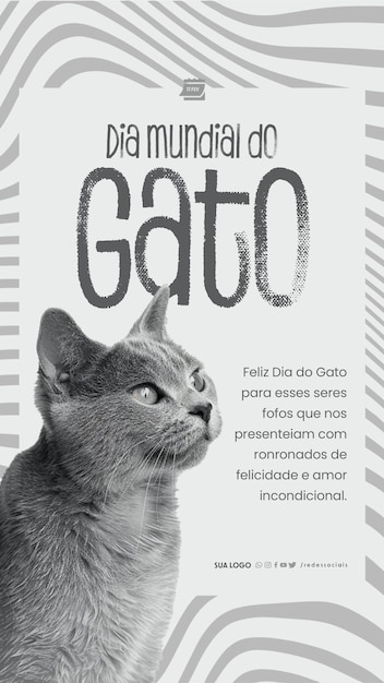 PSD story dia mundial do gato