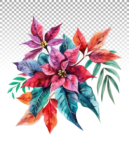 PSD stralende waterverf poinsettia clipart