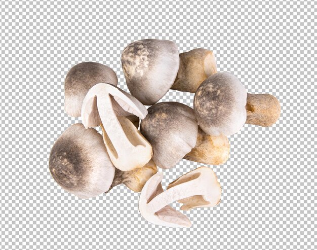 PSD straw mushroom isolated on alpha layer