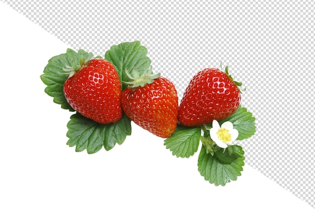 PSD strawberry png