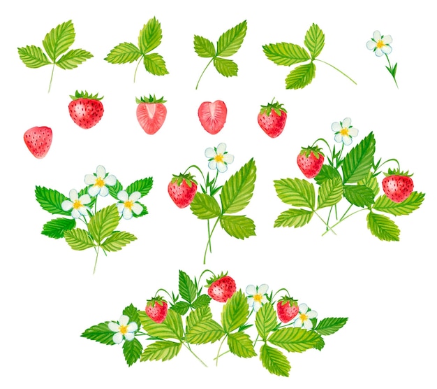strawberry watercolor set
