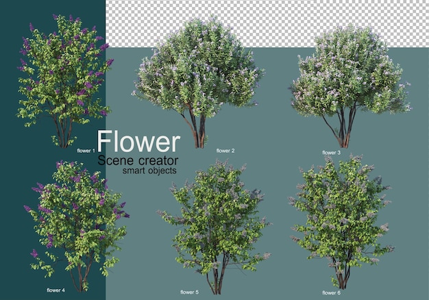 Struikarrangement in vele soorten bloemen