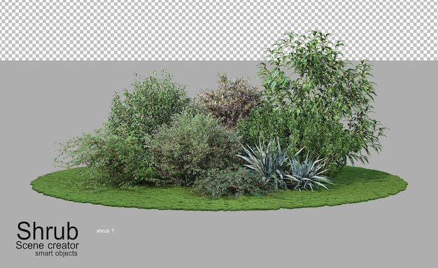 Struiken en bloemen in verschillende soorten en vormen
