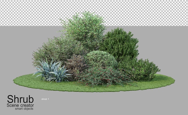 Struiken en bloemen in verschillende soorten en vormen