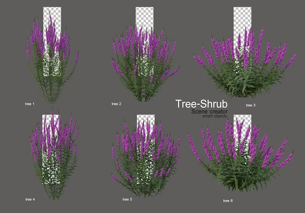 PSD struiken en bloemen in verschillende soorten en vormen