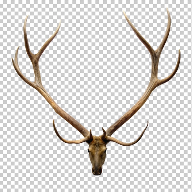 Stuffed deer head isolated on white with clipping path on transparent background