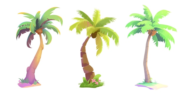 PSD stylized palm tree cutout