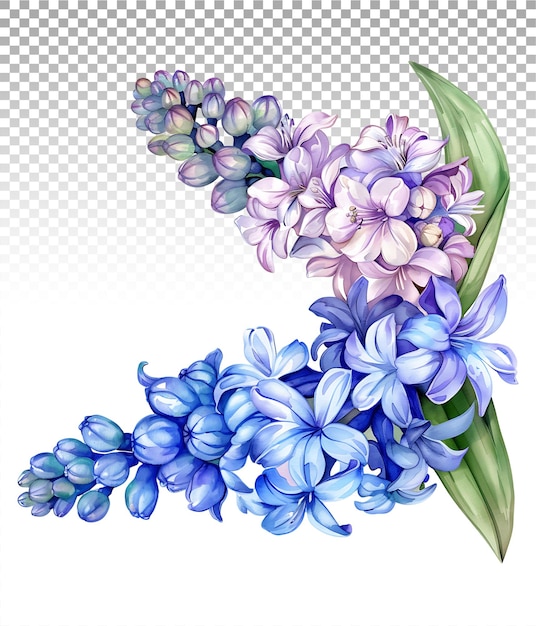 PSD subdued hyacinth watercolor illustration