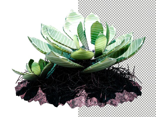 PSD 透明な背景の 3 d レンダリング上の多肉植物