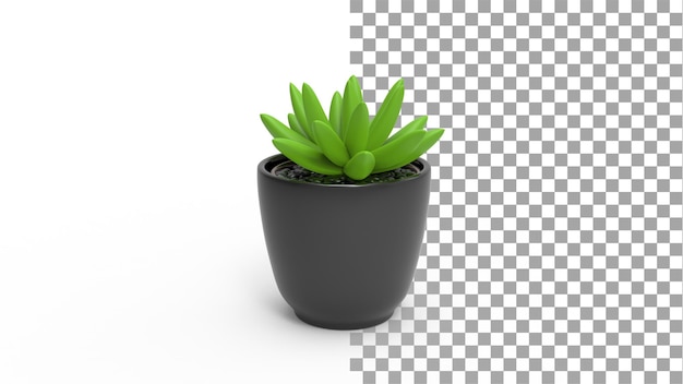 Succulente installatie met pot met schaduw 3d render