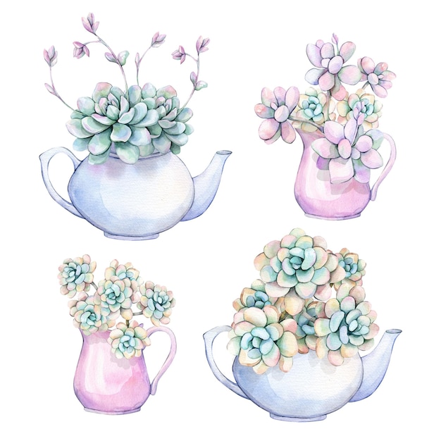 PSD succulents in the kettles