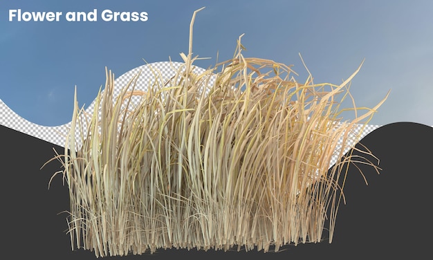 PSD sucha trawa izolowane pola suchej trawy