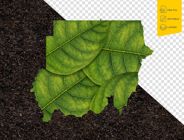 Sudan map made of green leaves on isolated background ecology concept