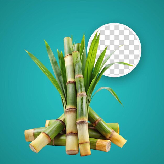 Sugar cane stalk isolated object transparent background