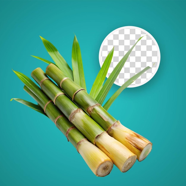 PSD sugar cane stalk isolated object transparent background