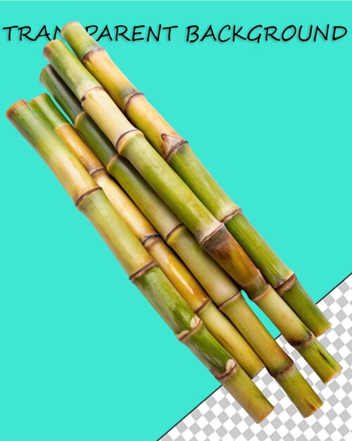 Sugar cane stalk transparent background