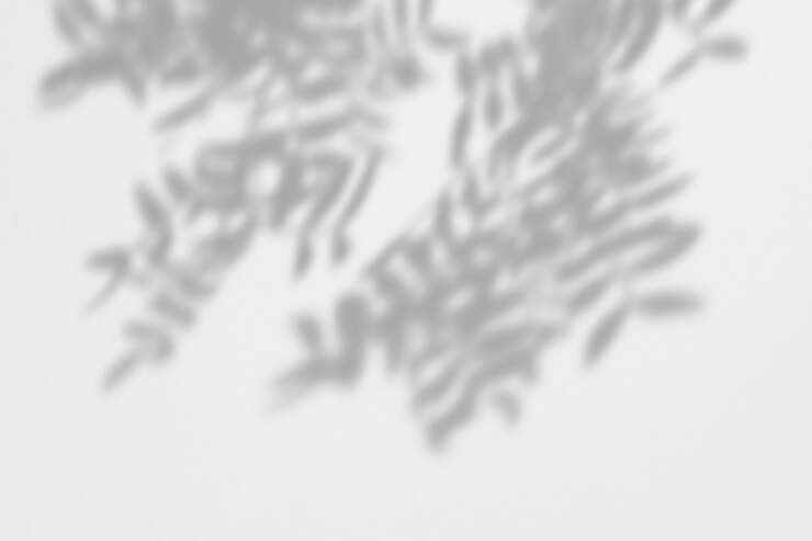 PSD summer background of shadows branch leaves on a white wall