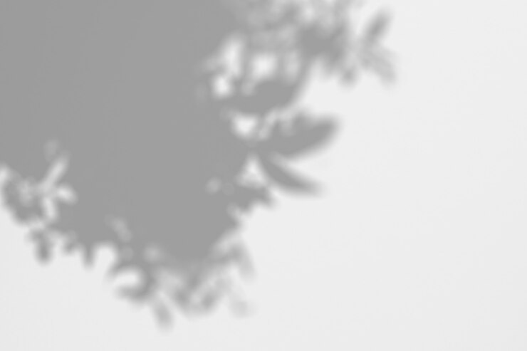 PSD summer background of shadows branch leaves on a white wall