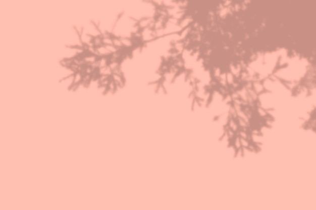 Summer background of shadows tree on a pink wall. 