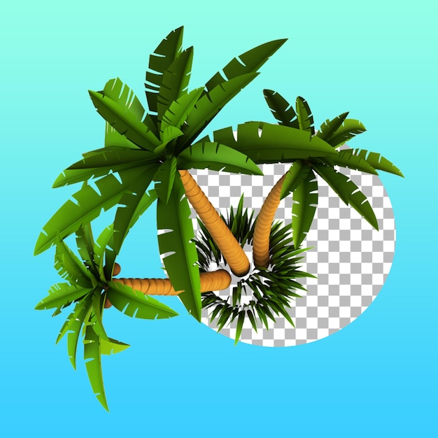 PSD summer concept with tropical coconut tree for design element