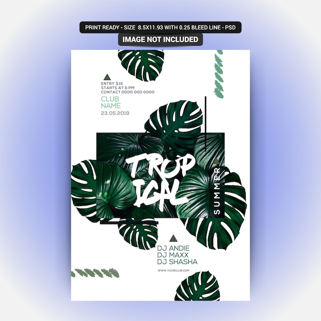 Summer night party flyer with tropical plant