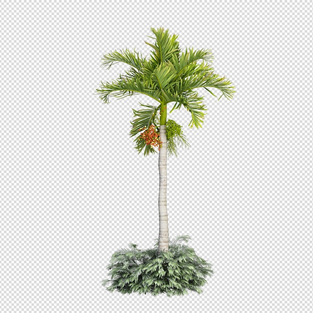 Summer plant in 3d rendering isolated