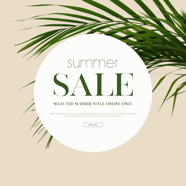 Summer sale frame & background