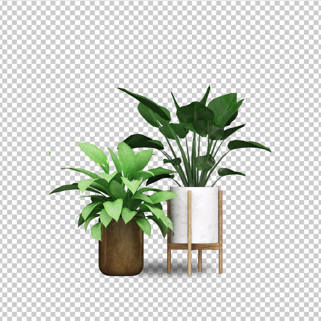 PSD summer tropical tree design