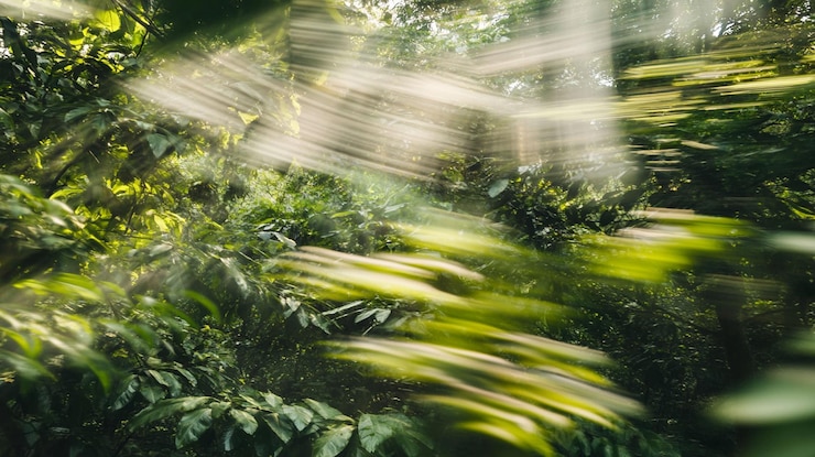 PSD sunbeams through lush green foliage motion blur effect
