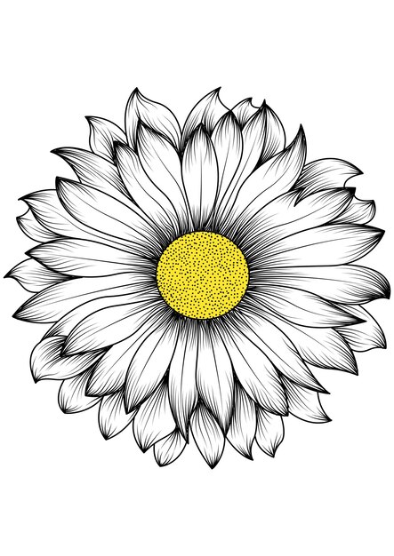 PSD sunflower art vector illustrator