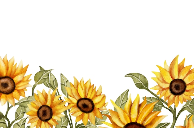 PSD sunflower border 2