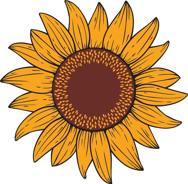 PSD sunflower flower